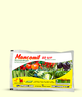 Produit phyto cote d'ivoire  phytosanitaire Mancomil 80 wp
